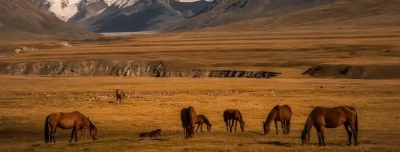 Kyrgyzstan