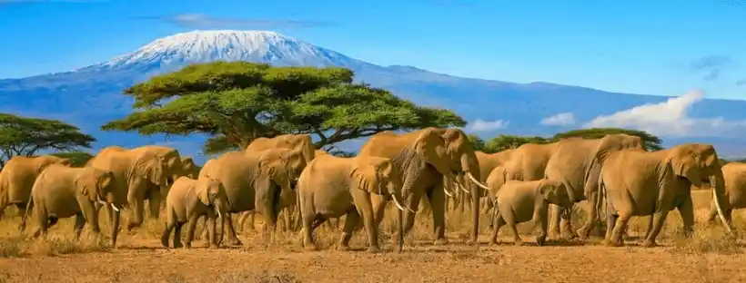 Tanzania